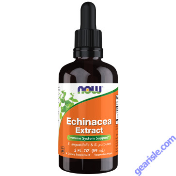 NOW Foods Echinacea Extract Liquid 2 fl oz