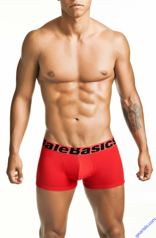 MaleBasics 3-Pack Boxer Brief Prints main image 0