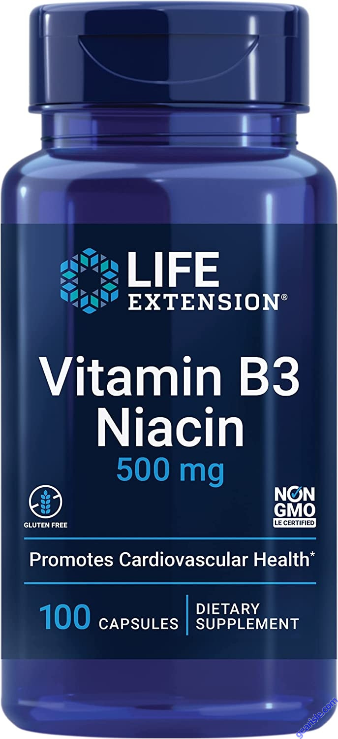 Buy Life Extension Non GMO Vitamin B3 Niacin 500mg 100 Caps Gluten Free