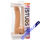 Silicone Studs Life-like 8" Suction Cup Ivory Dildo CalExotics box