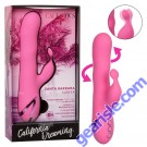 California Dreaming Santa Barbara Surfer Wave Function Vibrator box