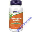NOW Foods Astragalus Extract 500mg 90 Veg Capsules
