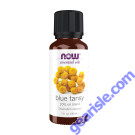 NOW Foods Blue Tansy Oil Blend 1 fl oz