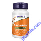NOW Foods Gr8-Dophilus 60 Veg Capsules