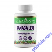 Paradise Herbs Banaba Leaf Extract 250mg bottle