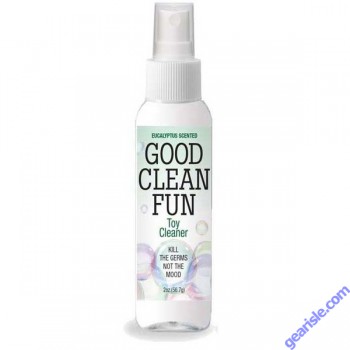 Little Genie Good Clean Fun Eucalyptus Toy Cleaner 2 Oz