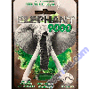 Elephant 9000 Pill Male Sexual Enhancer 1200mg