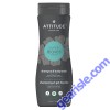 Attitude Men 2 In 1 Shampoo Body Wash 16 Oz Vegan Scalp Care