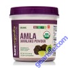  Organic Amla Amalaki Powder USDA Certified Immune Support BareOrganics 8 Oz