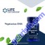 Vegetarian DHA Eye Health Support 30 Softgels