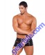 Wet Look Peek A Boo Shorts Allure Men 