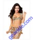 Dreamgirl 9702 Women's Sexy Exotic Leopard Bra & Flirty Garter Skirt