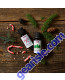 Candy Cane Oil Blend 1 fl. oz. lifestyle image