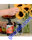 Chlorophyll Liquid, Mint – 16 fl. oz. lifestyle image