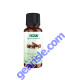 Clove Oil, Organic 1 fl. oz., front of bottle