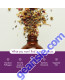 NOW Vitamin Angels giving program – Clove Oil 2 fl. oz.