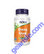 Dong Quai 520 mg 100 Veg Capsules, front of bottle