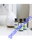 Lemon Oil, Organic 1 fl. oz. lifestyle image