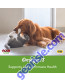 NOW Pet Health, Omega 3 Mini Gels Supplement, Formulated for Cats & Dogs, 150 Softgels product size comparison chart
